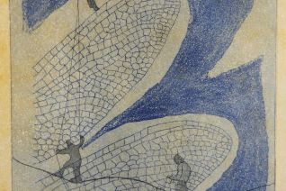 dragonfly wings