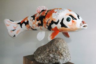 Koi