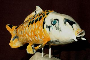 Koi