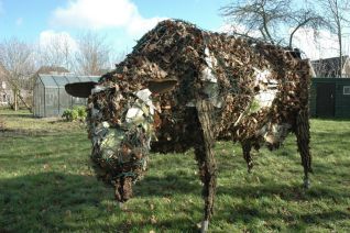Cow