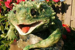 Dragon Lizard