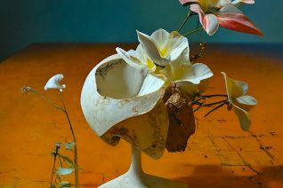 the true nature of form 01