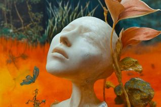 the true nature of form 03