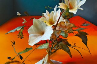 the true nature of form 04