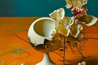 the true nature of form 06