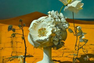 the true nature of form 07