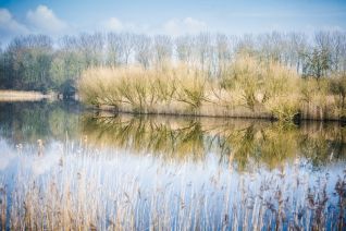 Natuurpark Lelystad