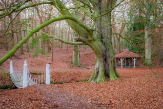 Landgoed Elswout