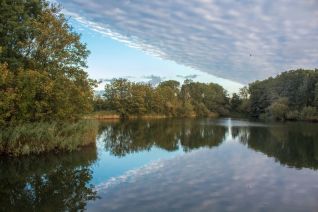 spiegeling