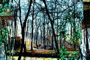 Wandelaars Groeneveld