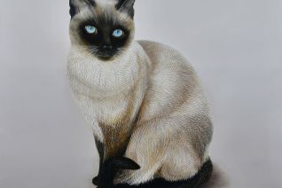 KALAYA - Beautiful Lady