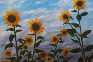 zonnebloemen in de tropen