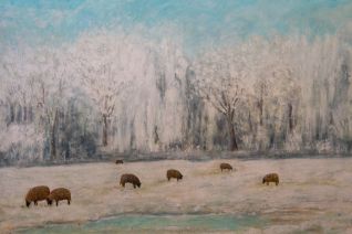 Schapen in de sneeuw