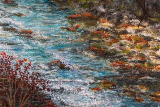 Oranje stenen in de rivier