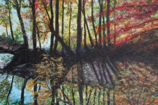 Herfstkleuren in de Ardennen