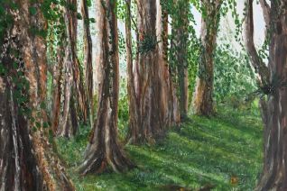 De schooneid van het verdwijnende tropische bos