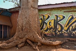 Write on the tree your name