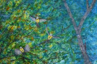 Pimpelmezen boven water