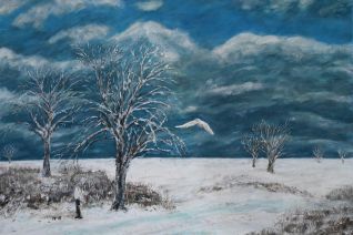 Waar sneeuwuilen zijn wonen geen mensen