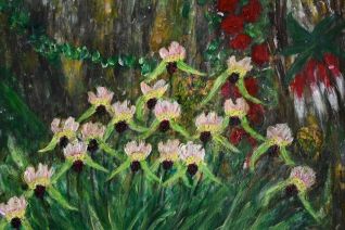 Orchideeen in het wild