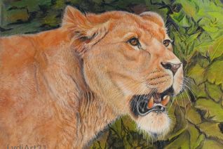 Leeuwin uit Artis in pastel