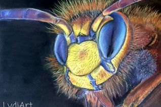 Close-up wesp in pastel 