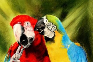 Parrotlove in pastel 