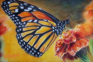 Monarch vlinder op Drafting film met kleurpotloden 