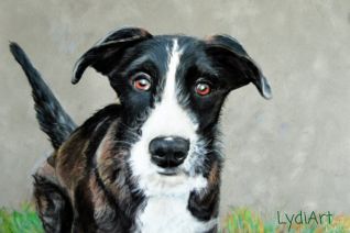 Kyra in opdracht in pastel op velourskarton