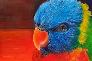 Papagaai 