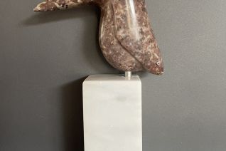 ijsvogeltje van serpentijn ( 5) 