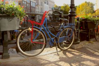 Bicycle LIDL