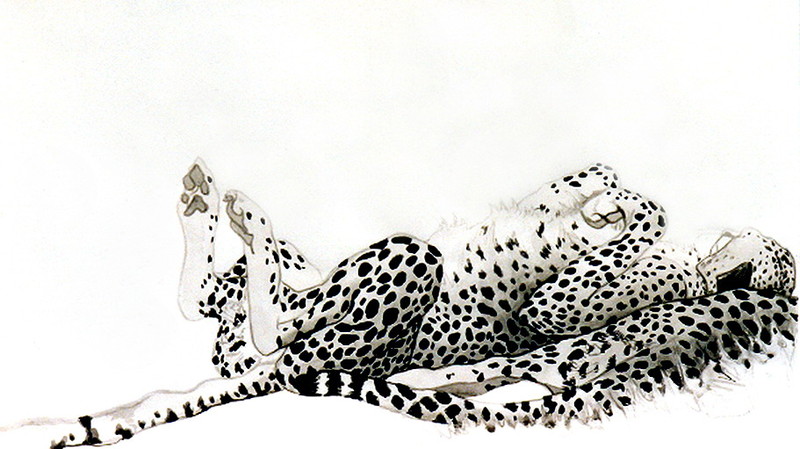 groep jachtluipaarden