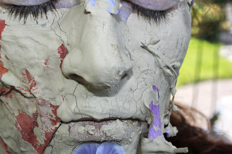 26.flower fairy Ophelia