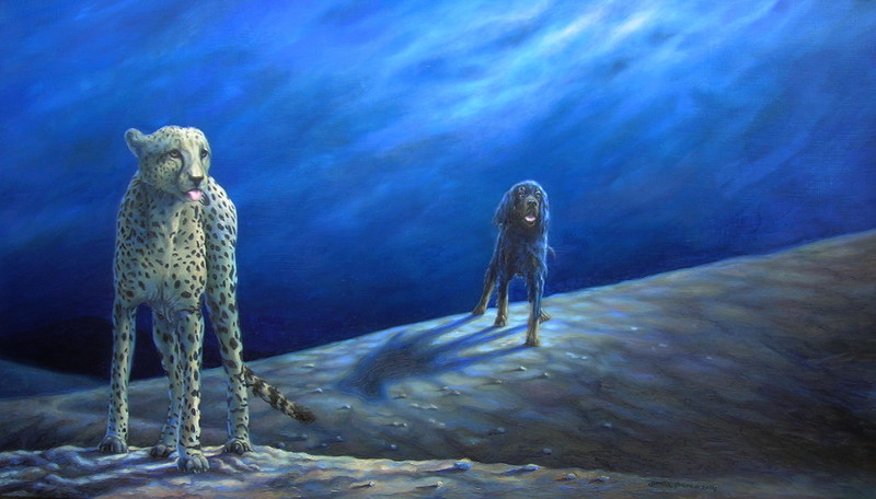 Met het Licht op weg