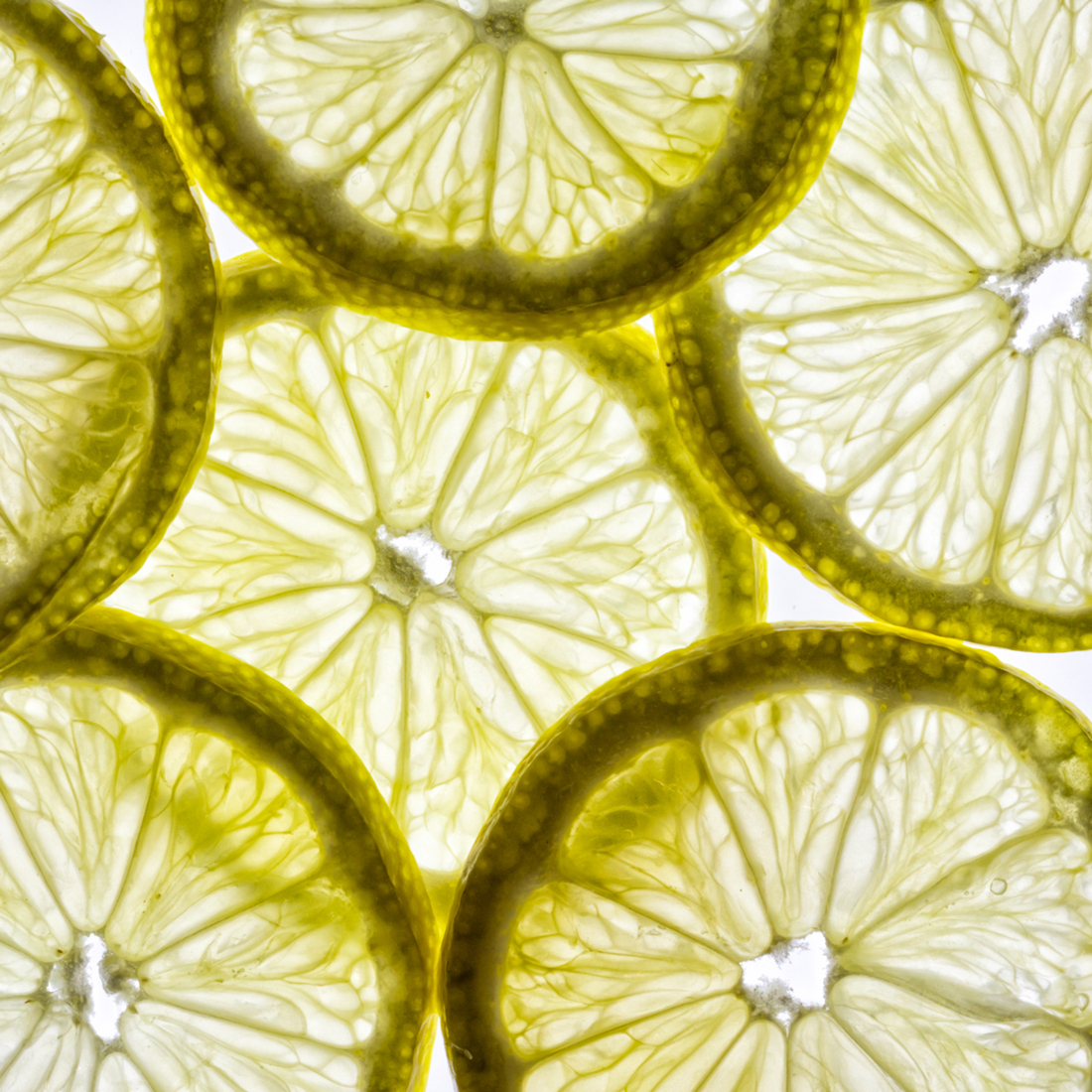 Fragiele cirkels van tijd en sap