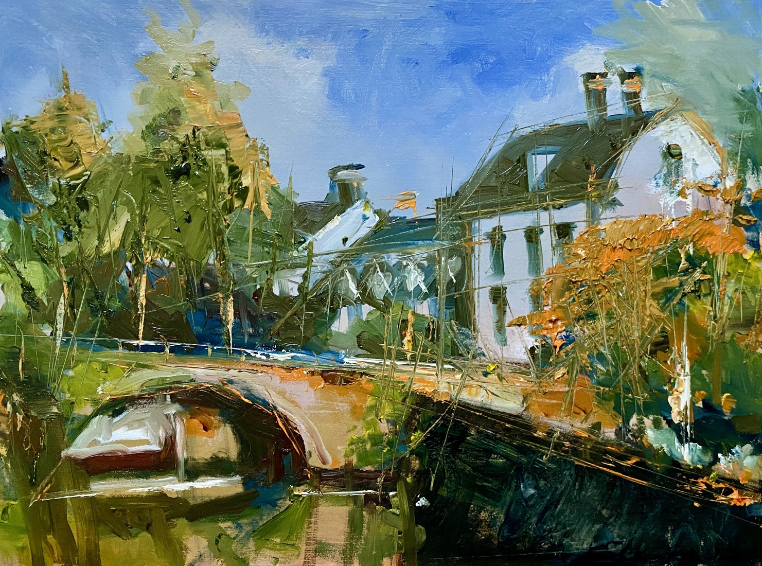 Zeist Karpervijver (2)