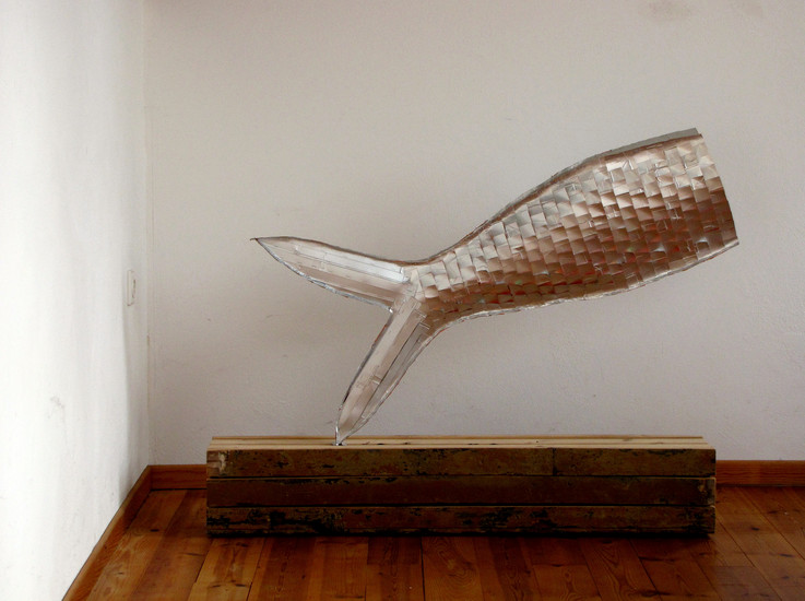 verloren - zeemeermin of vis