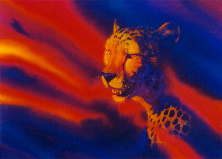 2: cheetah