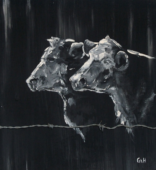 2 koeien achter prikkeldraad