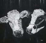 Mijn schilderijen met als onderwerp koeien.