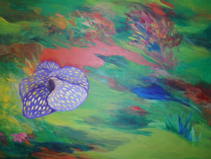 garden of the dreams