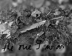 Zwart-wit/black and white photography