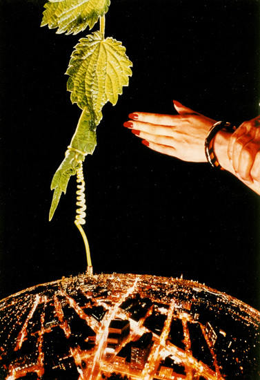 Alles nur nach Gottes Willen