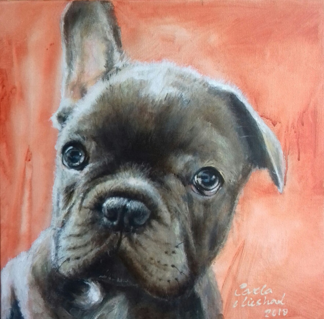 Honden portret in opdracht