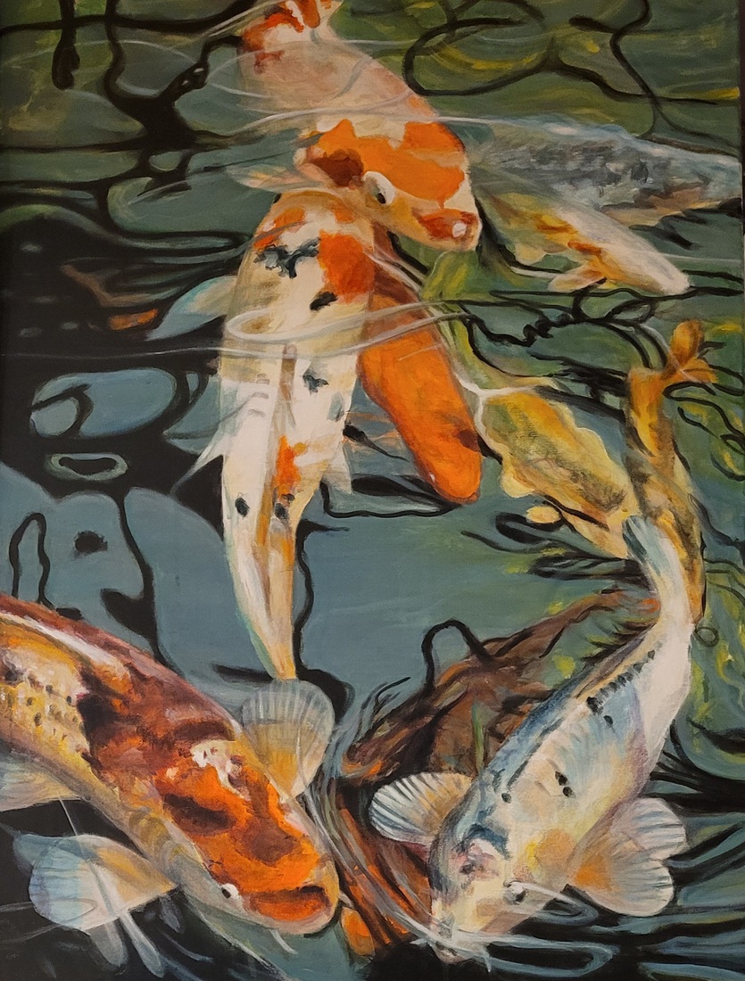 Koi karpers 