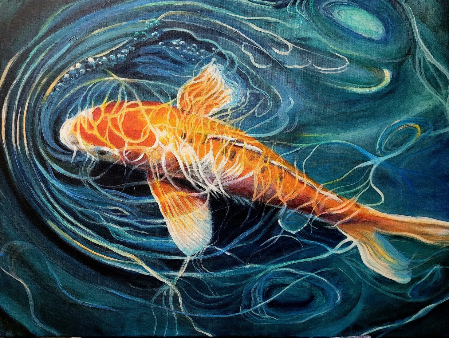 Koi karper 3
