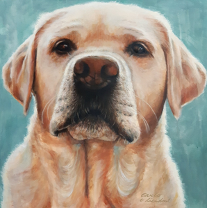 Honden portret 
