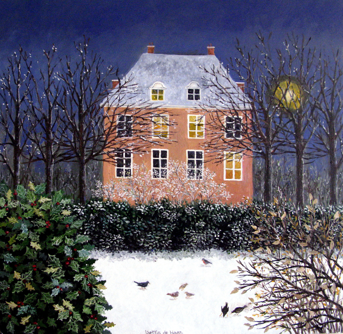 Huis in besneeuwde tuin