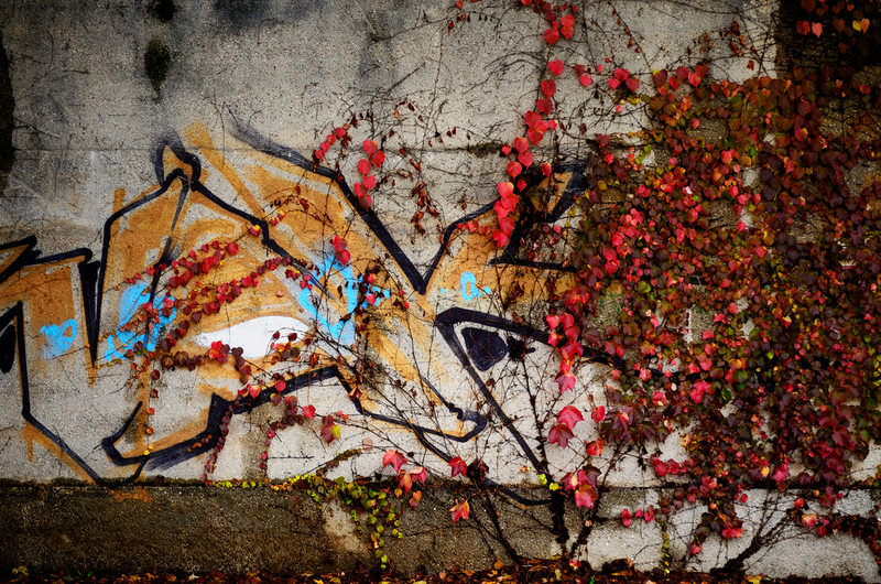 Graffiti versus Natuur